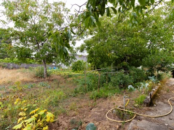 Moradia T3 para Venda em Portunhos e Outil