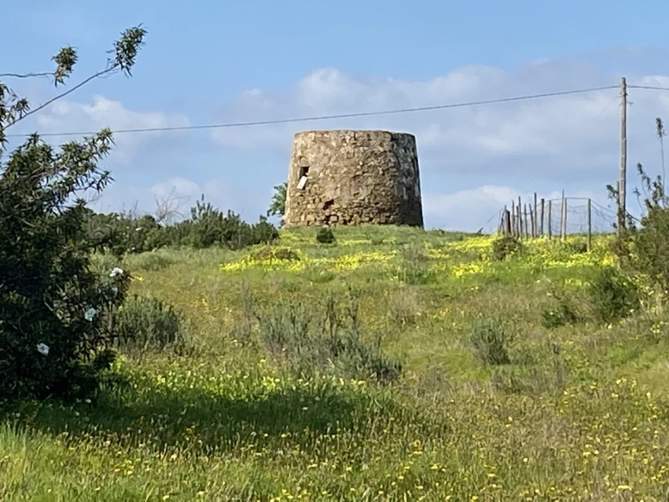 Terreno Misto para Venda em Azinhal Foto 7