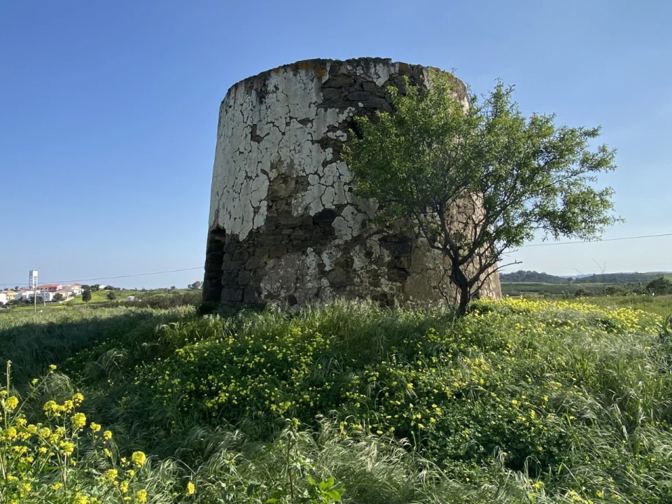 Terreno Misto para Venda em Azinhal Foto 4