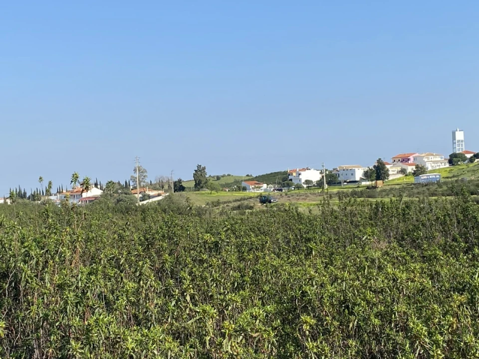 Terreno Misto para Venda em Azinhal Foto 18