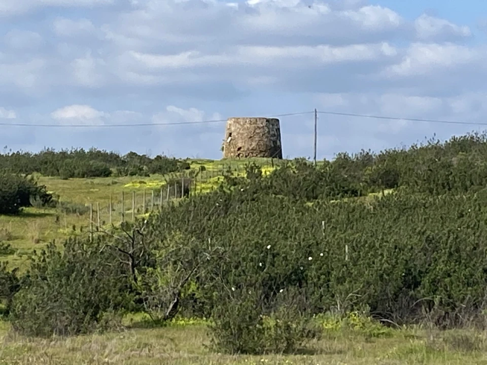 Terreno Misto para Venda em Azinhal Foto 21