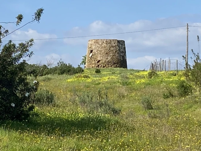 Terreno Misto para Venda em Azinhal Foto 7