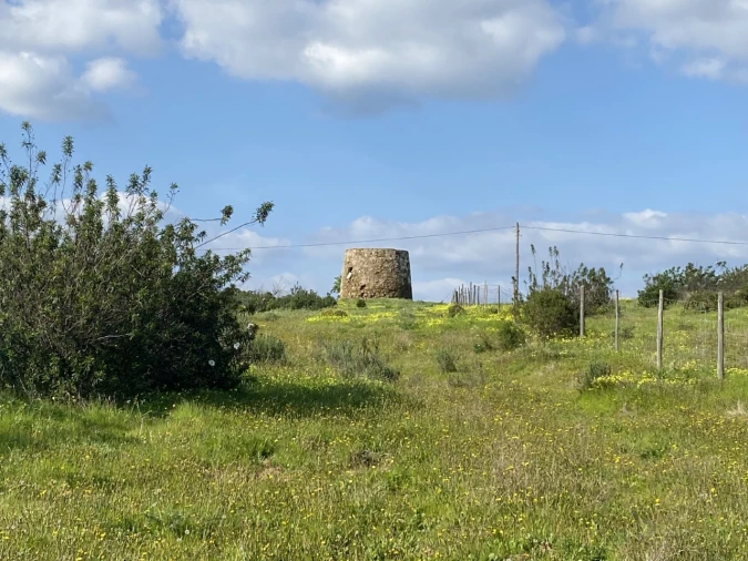 Terreno Misto para Venda em Azinhal Foto 3
