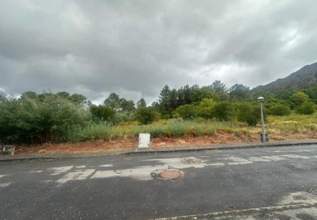 Terreno para Venda em Fajão-Vidual Foto 3