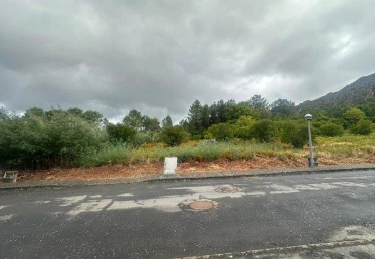 Terreno para Venda em Fajão-Vidual Foto 3