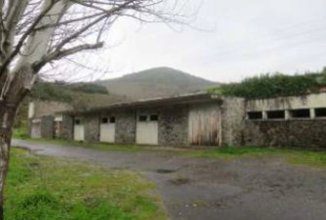 Terreno P/ Prédio para Venda em Poiares e Canelas Foto 7