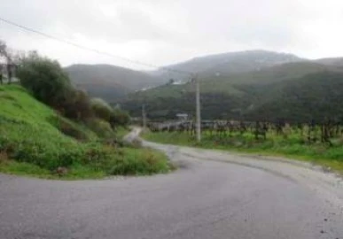 Terreno P/ Prédio para Venda em Poiares e Canelas