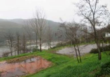 Terreno P/ Prédio para Venda em Poiares e Canelas