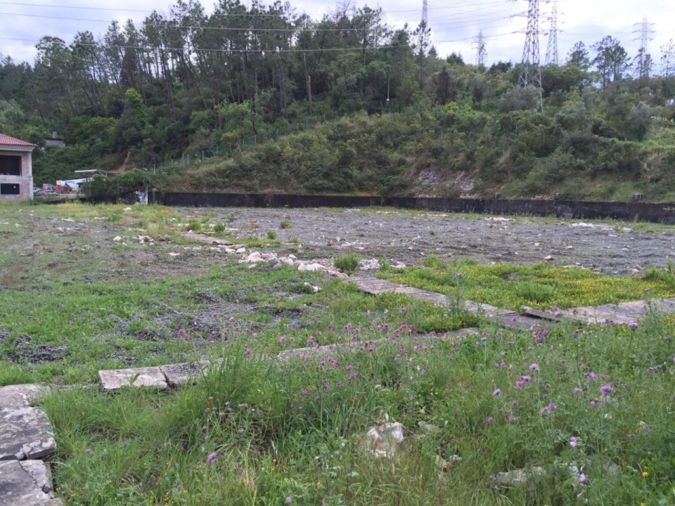 Terreno P/ Prédio para Venda em Santa Clara e Castelo Viegas Foto 3