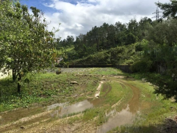 Terreno P/ Prédio para Venda em Santa Clara e Castelo Viegas