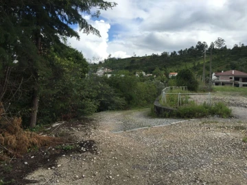Terreno P/ Prédio para Venda em Santa Clara e Castelo Viegas