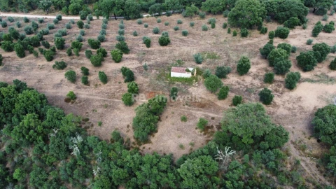 Terreno Agricola ou Rústico para Venda em Constancia