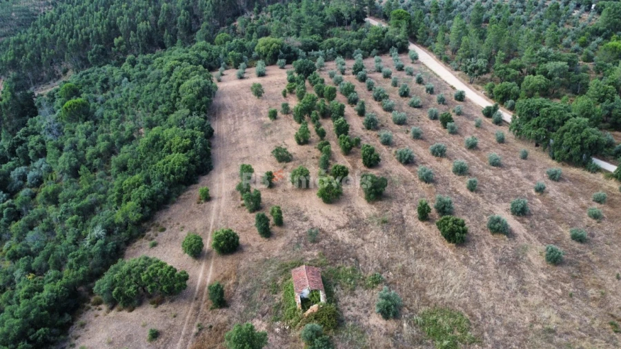 Terreno Agricola ou Rústico para Venda em Constancia
