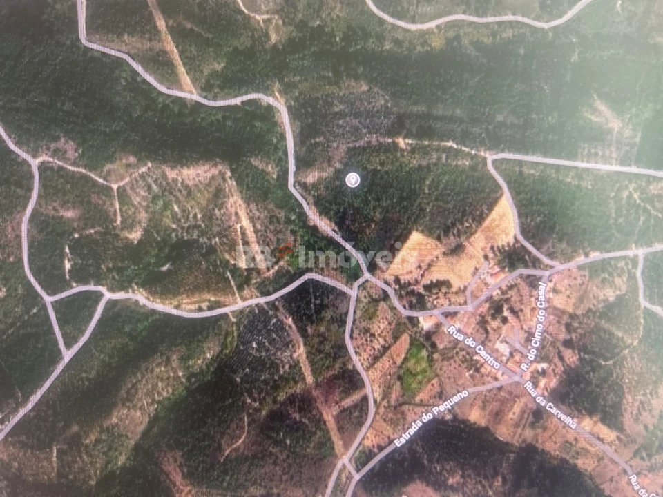 Terreno Agricola ou Rústico para Venda em Amendoa Foto 1