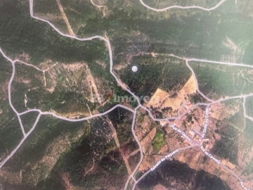Terreno Agricola ou Rústico para Venda em Amendoa
