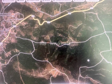 Terreno Agricola ou Rústico para Venda em Amendoa