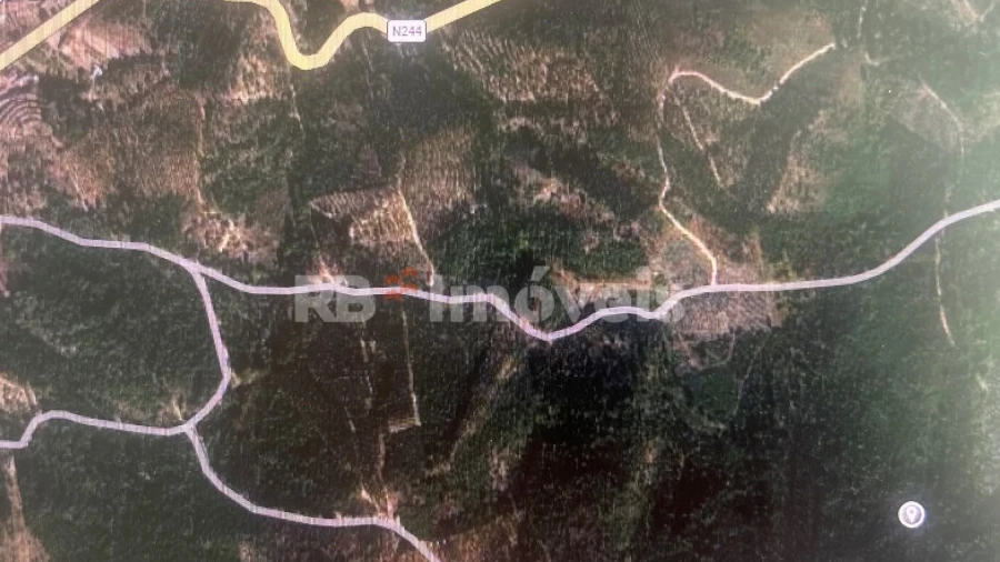 Terreno Agricola ou Rústico para Venda em Amendoa