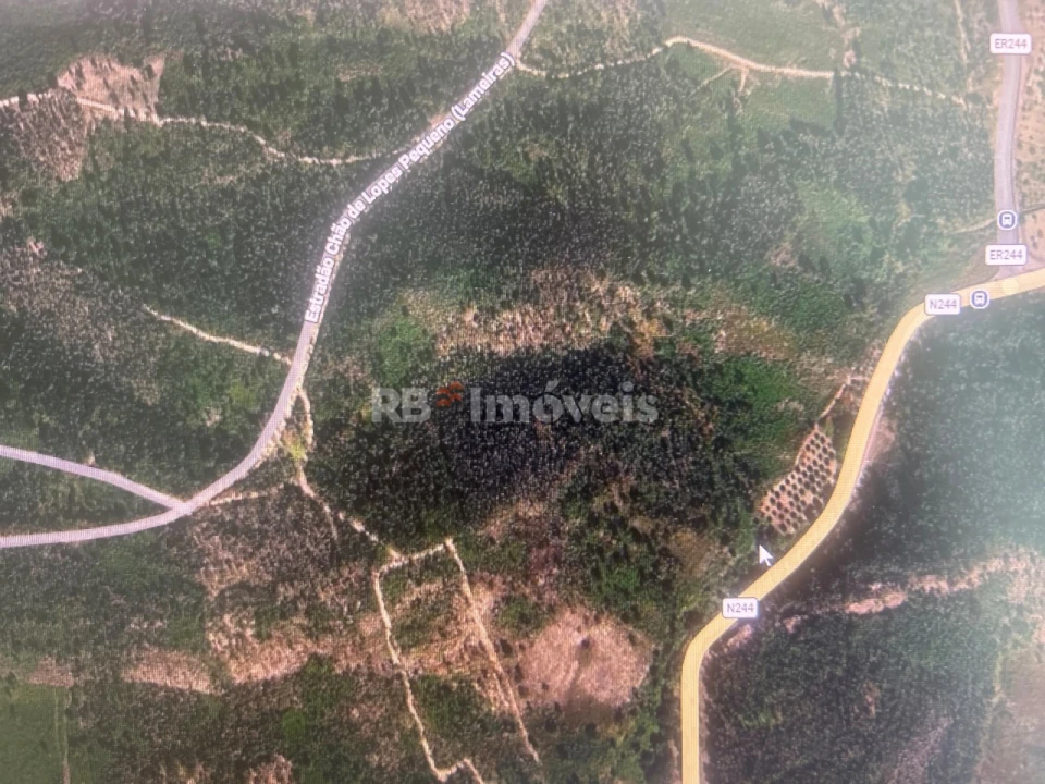 Terreno Agricola ou Rústico para Venda em Amendoa Foto 1