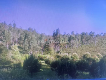 Terreno Agricola ou Rústico para Venda em Amendoa
