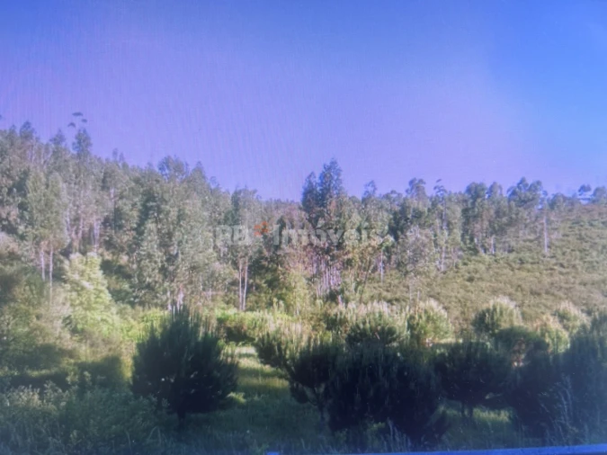Terreno Agricola ou Rústico para Venda em Amendoa Foto 2