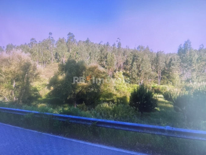 Terreno Agricola ou Rústico para Venda em Amendoa Foto 4