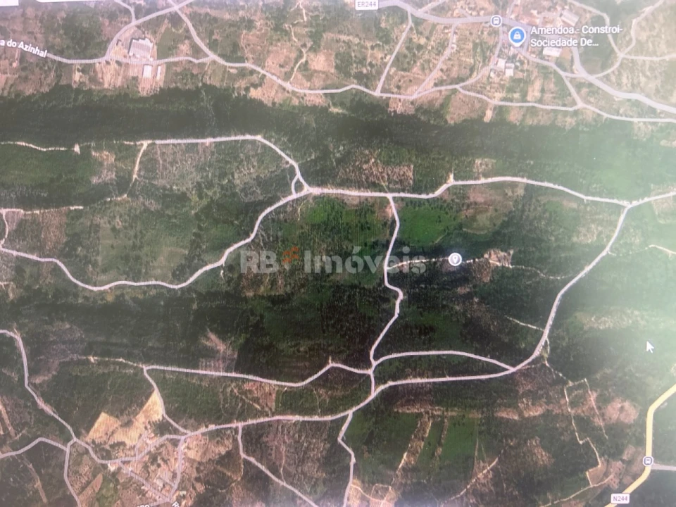 Terreno Agricola ou Rústico para Venda em Amendoa Foto 1