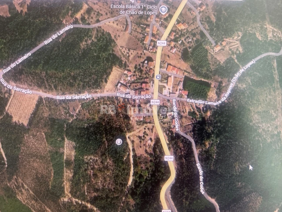 Terreno Agricola ou Rústico para Venda em Amendoa Foto 1