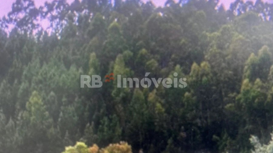 Terreno Agricola ou Rústico para Venda em Amendoa
