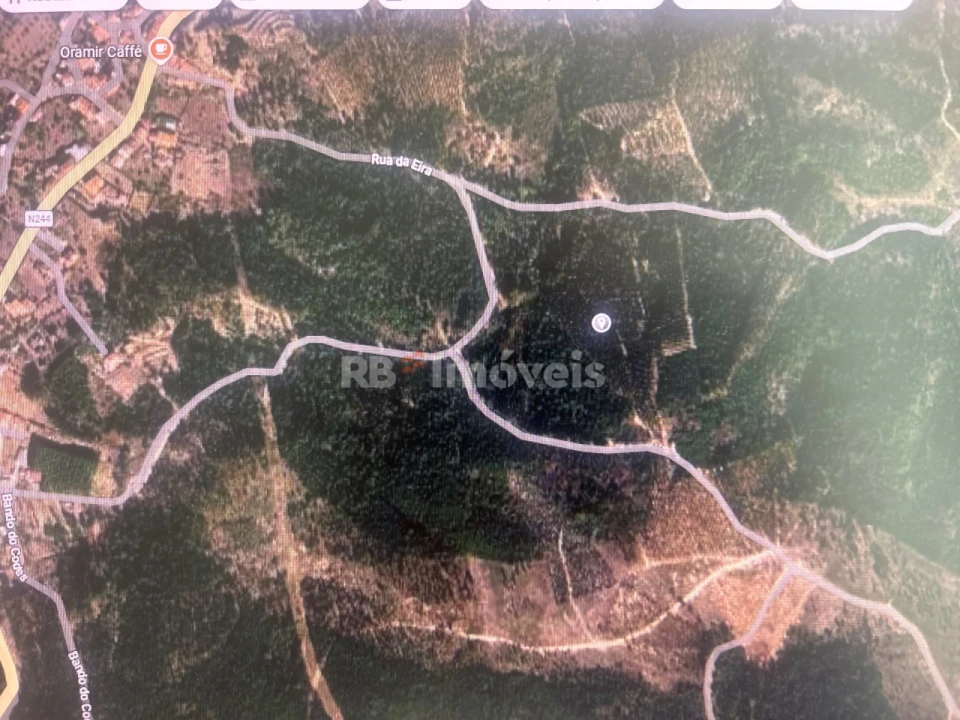 Terreno Agricola ou Rústico para Venda em Amendoa Foto 1