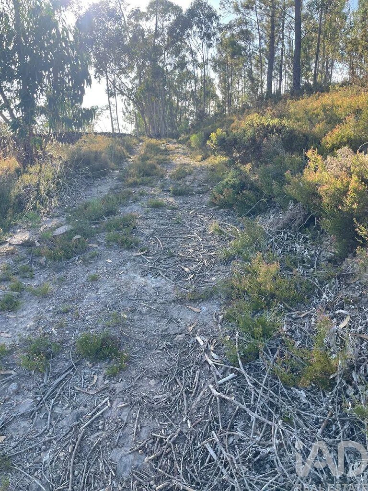 Terreno para Venda em Recarei Foto 4