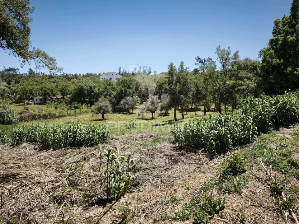 Terreno para Venda em Nossa Senhora das Misericordias Foto 4