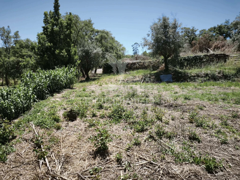 Terreno para Venda em Nossa Senhora das Misericordias Foto 5
