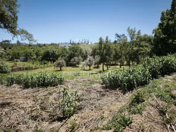 Terreno para Venda em Nossa Senhora das Misericordias