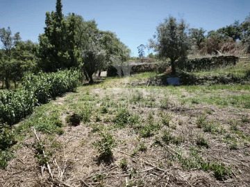 Terreno para Venda em Nossa Senhora das Misericordias