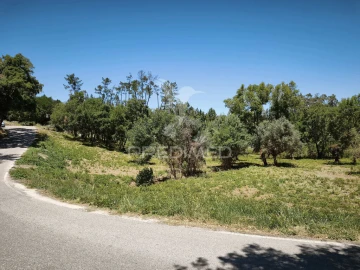 Terreno para Venda em Nossa Senhora das Misericordias