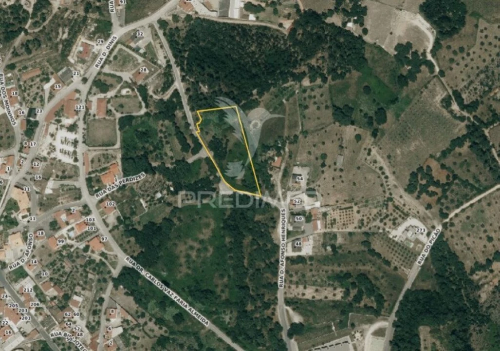 Terreno para Venda em Nossa Senhora das Misericordias Foto 8