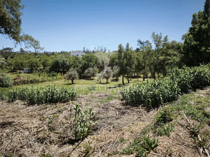Terreno para Venda em Nossa Senhora das Misericordias Foto 4