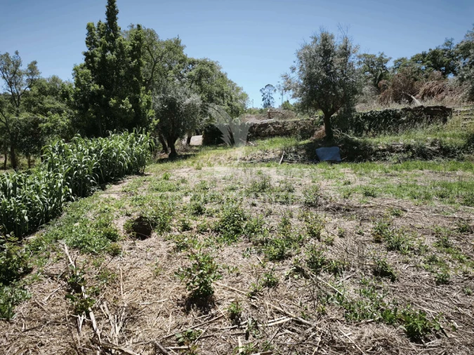 Terreno para Venda em Nossa Senhora das Misericordias Foto 5