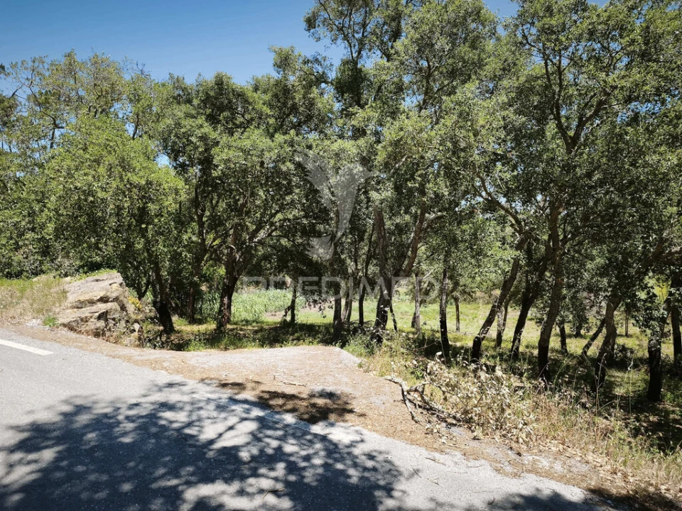 Terreno para Venda em Nossa Senhora das Misericordias Foto 6