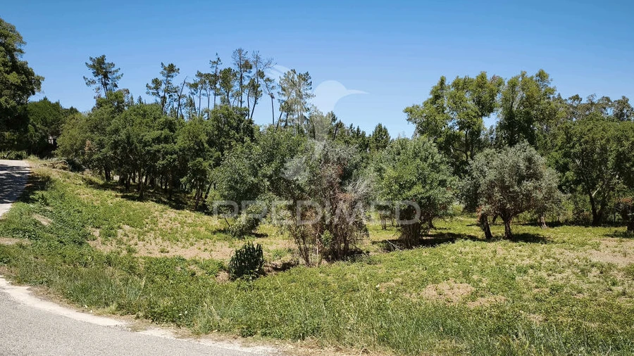 Terreno para Venda em Nossa Senhora das Misericordias