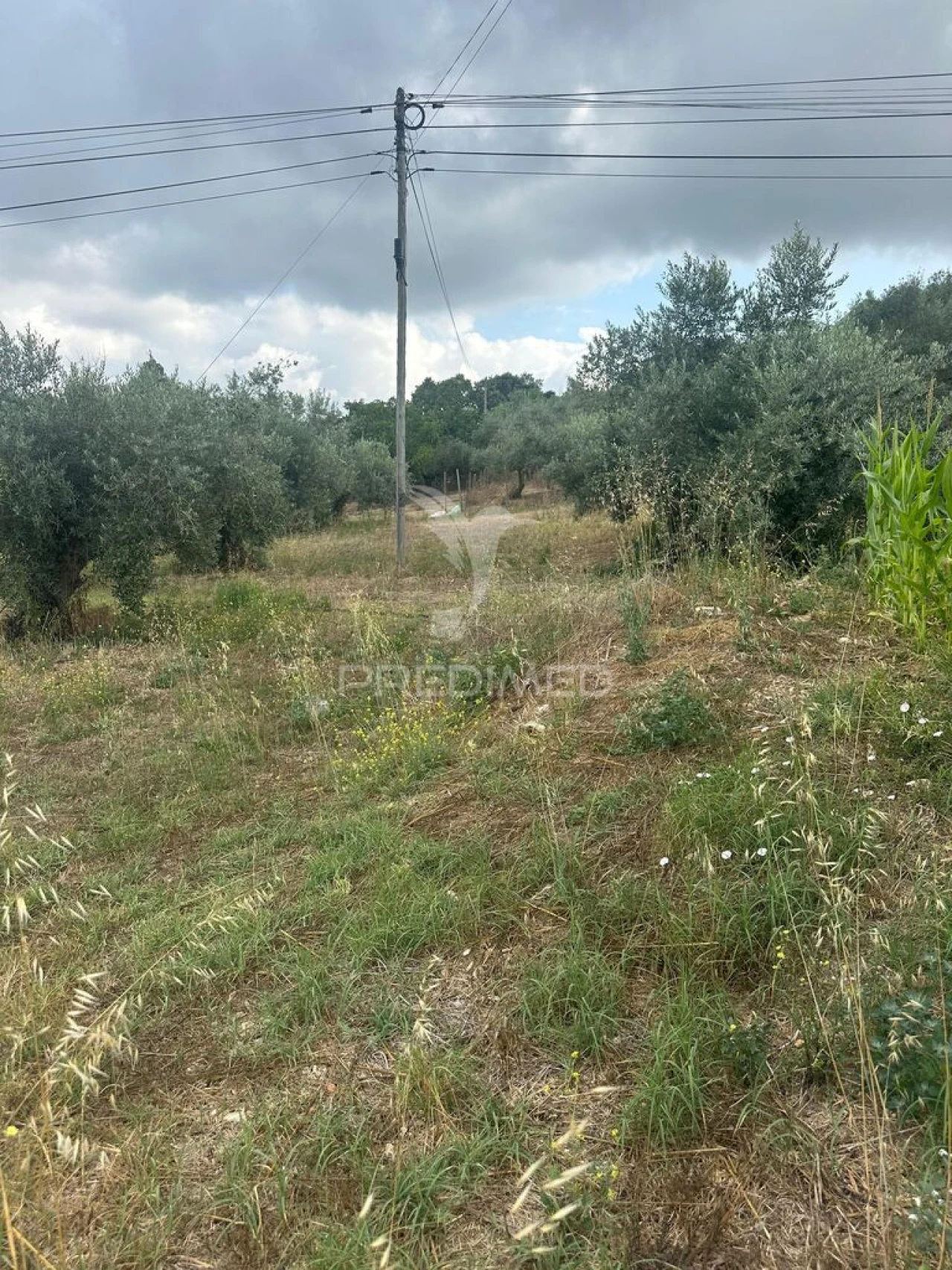 Terreno para Venda em São João da Ribeira e Ribeira de São João Foto 1