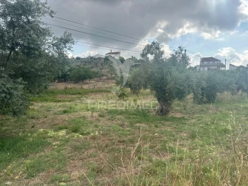 Terreno para Venda em São João da Ribeira e Ribeira de São João