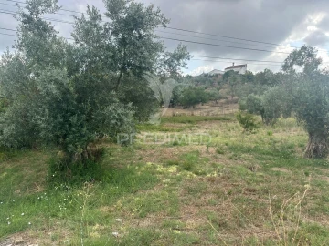 Terreno para Venda em São João da Ribeira e Ribeira de São João