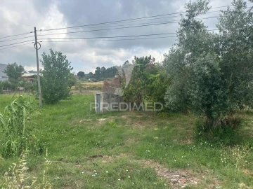 Terreno para Venda em São João da Ribeira e Ribeira de São João