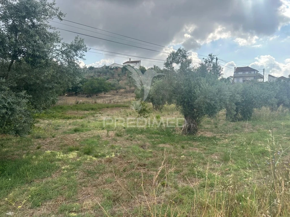 Terreno para Venda em São João da Ribeira e Ribeira de São João Foto 9