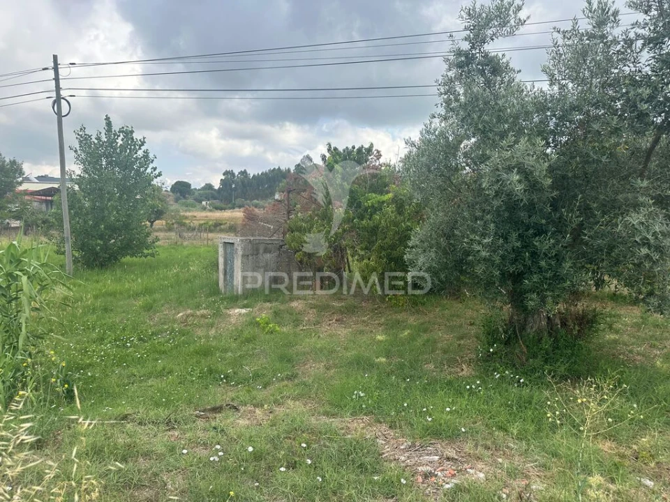 Terreno para Venda em São João da Ribeira e Ribeira de São João Foto 10