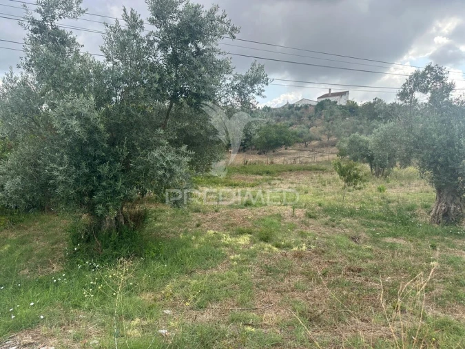 Terreno para Venda em São João da Ribeira e Ribeira de São João Foto 8