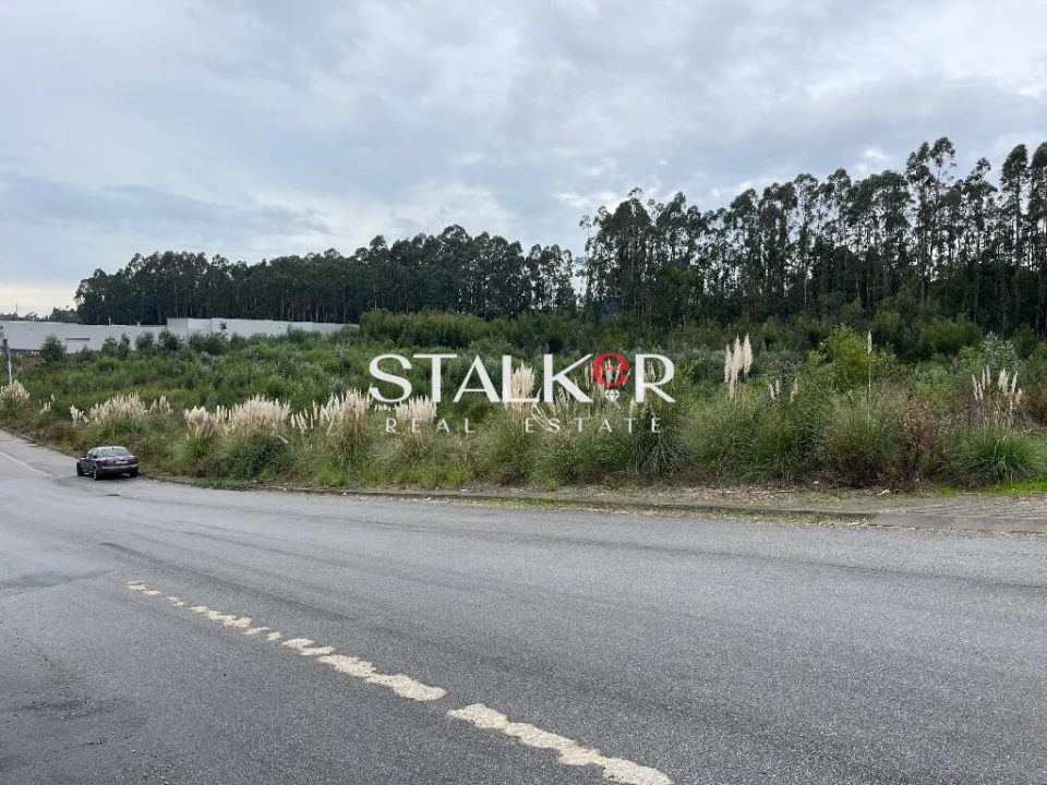 Terreno para Venda em São João de Ver Foto 8
