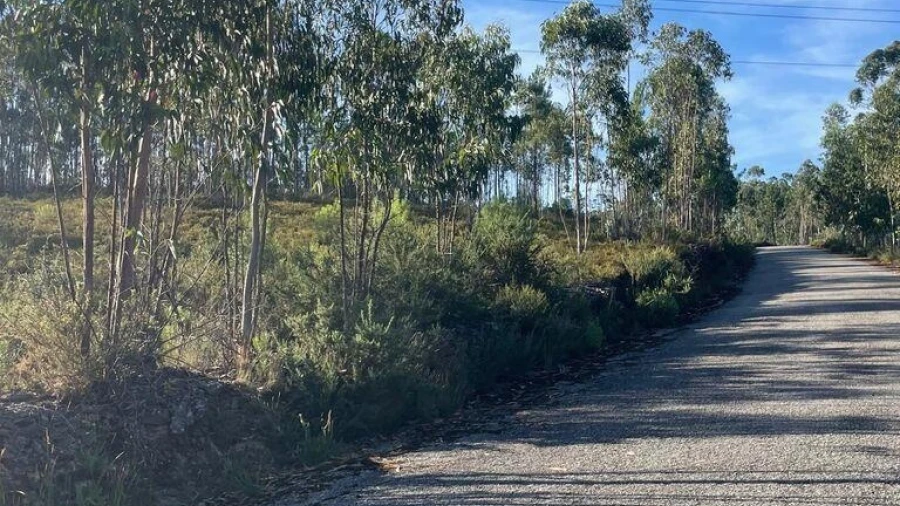 Terreno para Venda em Recarei