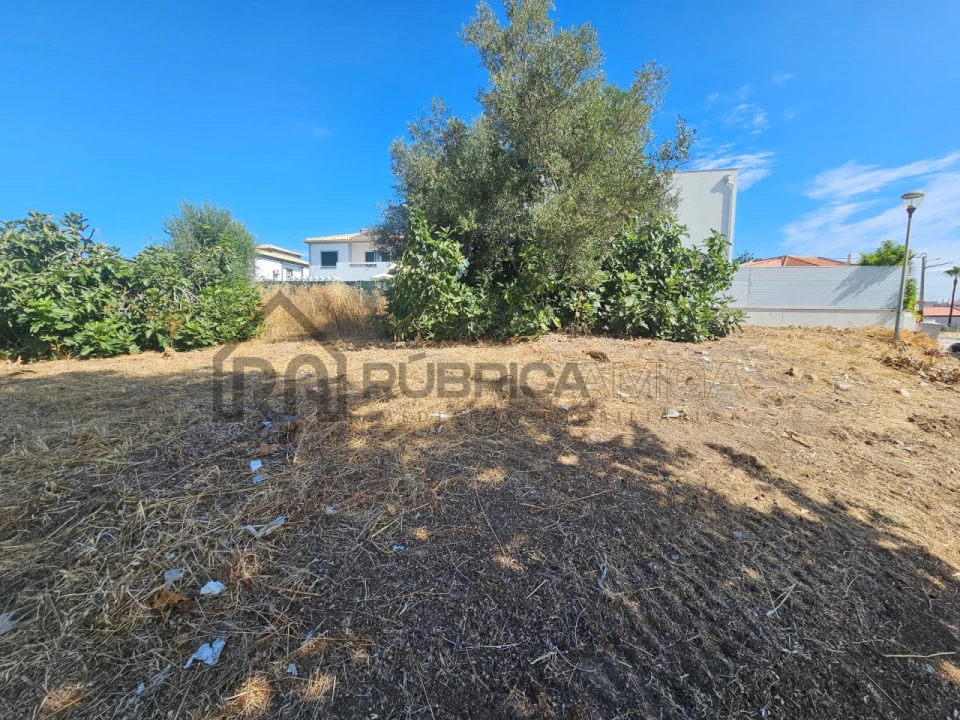 Terreno para Venda em Almancil Foto 1
